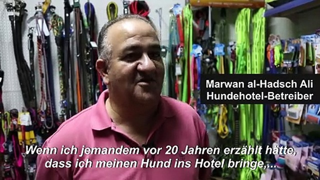 Jordanier kommen auf den Hund
