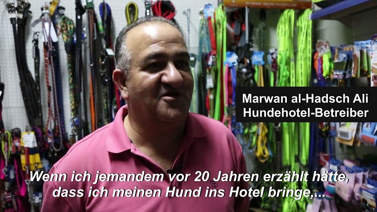 Jordanier kommen auf den Hund