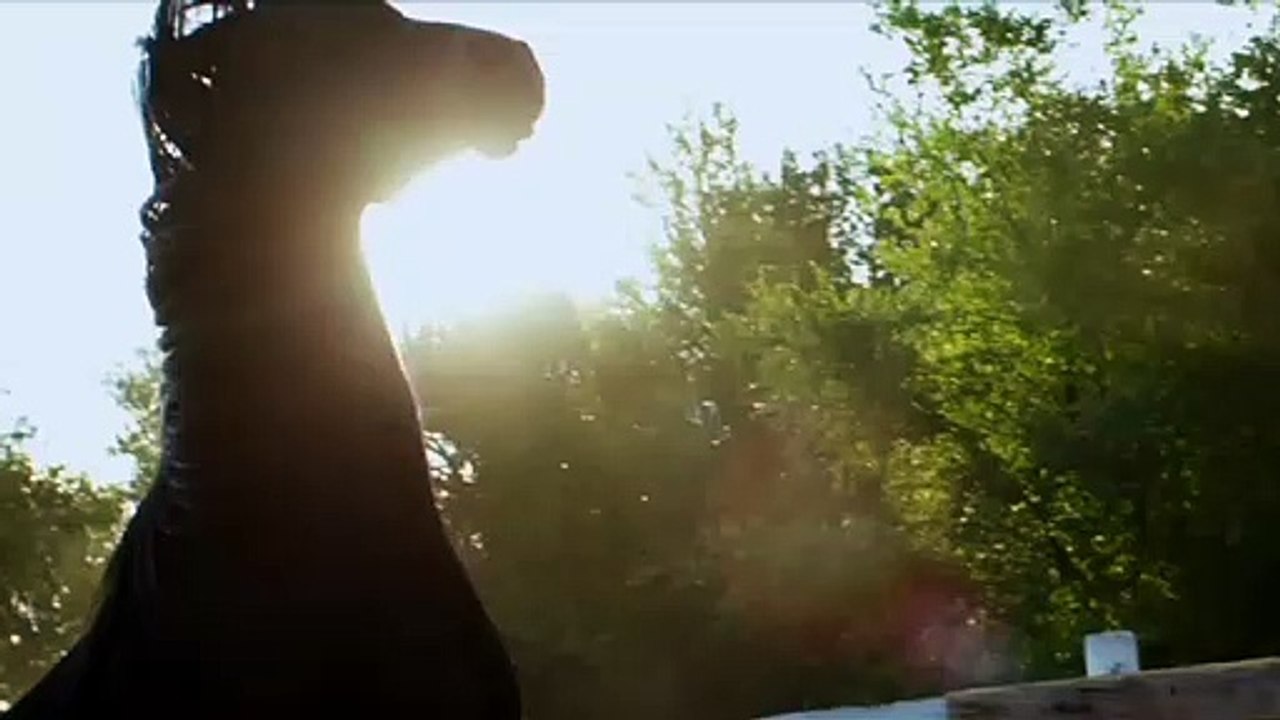 Flicka: Country Pride - Meet Flicka | 20th Century FOX