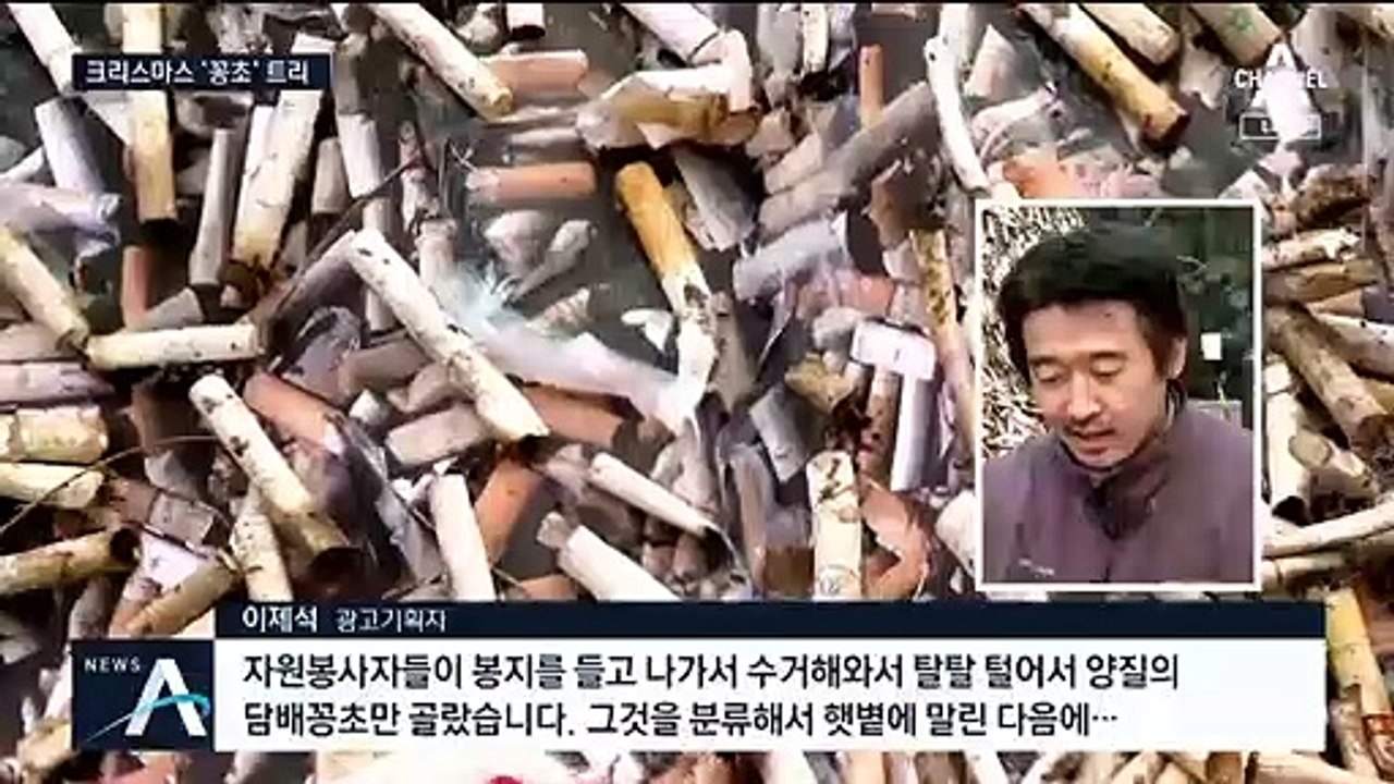 KT&G 본사 앞…예쁜 트리 대신 5m ‘꽁초 트리’ 등장