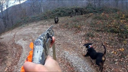 Avlamak istediği yaban domuzunun saldırısına uğrayan avcı ölümden döndü