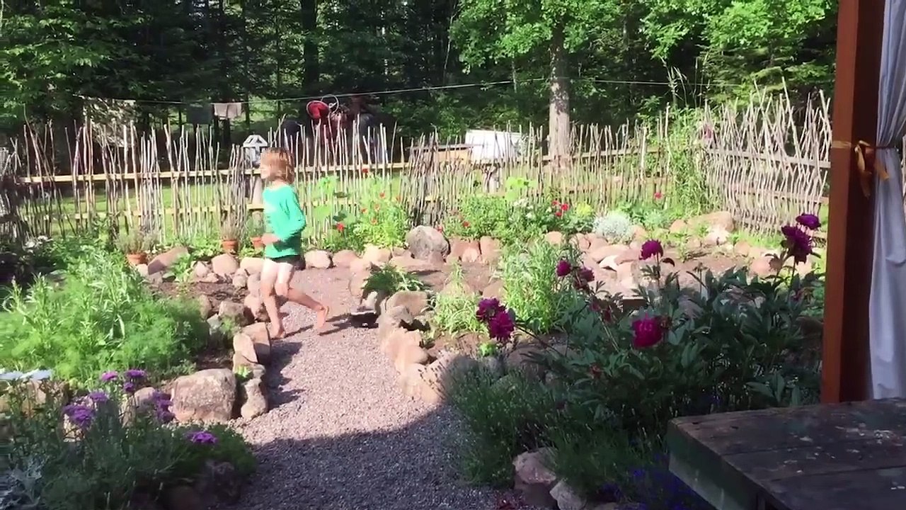 Funniest Pets Of The Week | Funny Pet Videos