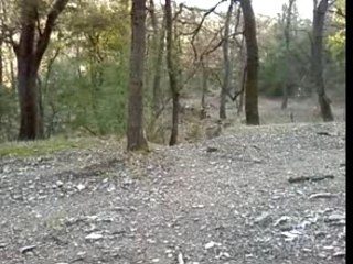 thierry le rider "saut1"