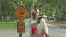 El ’Hombre Pollo' paga feliz una multa por salvar a un cocodrilo