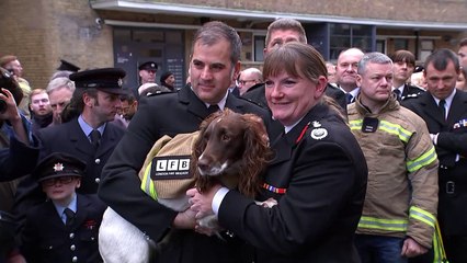 London fire chief leaves with 'guard of honour'