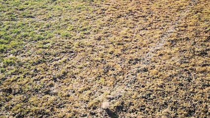 BESSAN TOUR DE TERRAIN