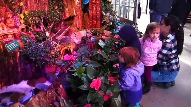 Here's a Glimpse of Trains in The Botanic Gardens of Washington