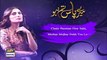 Meray Paas Tum Ho | OST with Lyrics| Singer: Rahat Fateh Ali Khan |