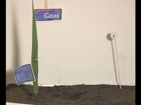 Koen-Bert en het zakdoekje