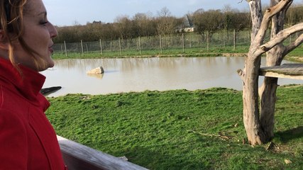 Frossay. Legendia Parc se pare de ses contes de Noël