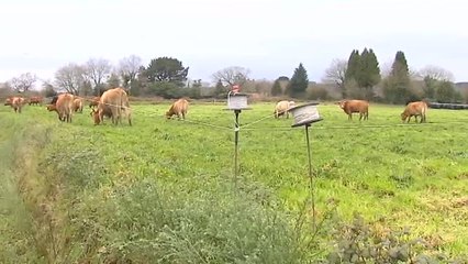 Un generador sin ventilación causó las tres muertes de Curtis