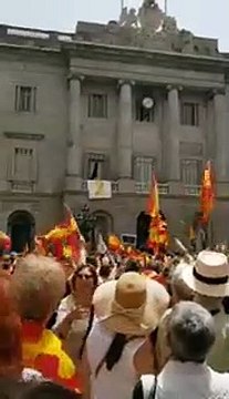 Con estas banderas obligan los tabarneses a retirar el lazo amarillo del ayuntamiento de Colau