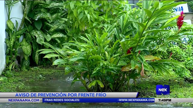 Aviso de prevención por frente frío - Nex Noticias