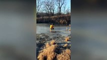 Firefighters Navigate Through Frozen Pond To Save A Trapped Dog