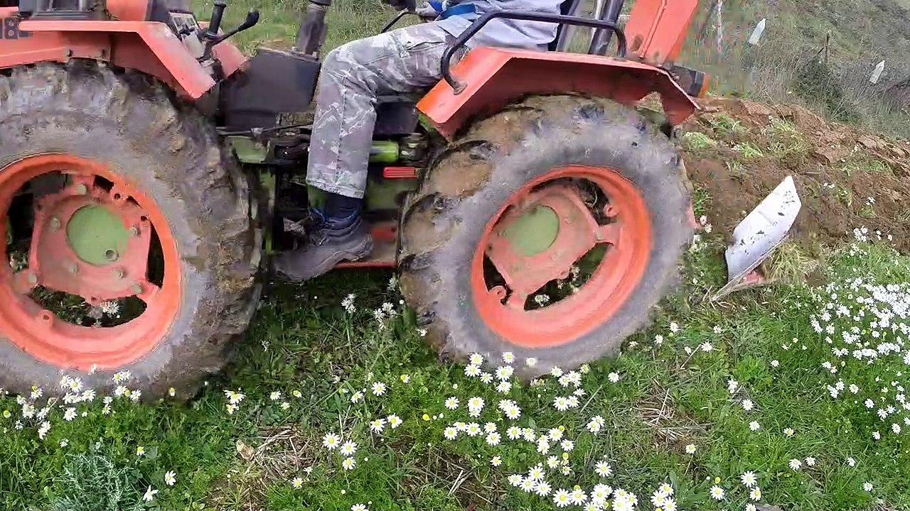 Agria 8980 | The crop that motivated me to purchase the separators