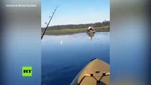 Así se pasea este tiburón cerca de un pescador en kayak