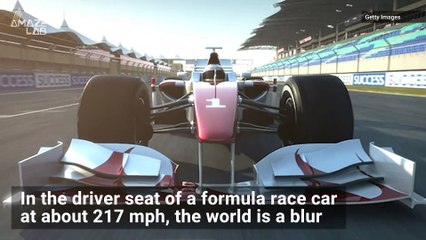 Falcons Spot Prey at Formula 1 Race Car Speeds