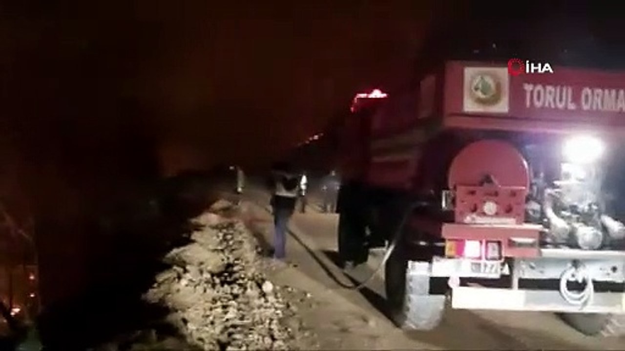 Trabzon'da çıkan orman yangınları ile ilgili Valilik'ten açıklama yapıldı