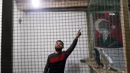 Güvercin sevenler bu mezatta buluşuyor