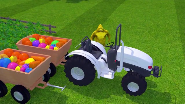 Aprende los colores con los gorilas trabajando