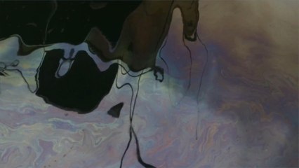 Ecuador Working to Contain a 600-gallon Oil Spill Off the Galapagos Islands