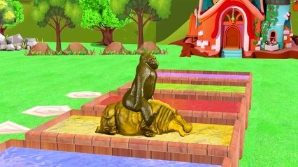 Aprende los colores con los gorilas montando animales