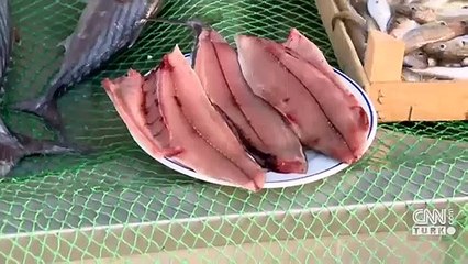 Tombik balığına dikkat!