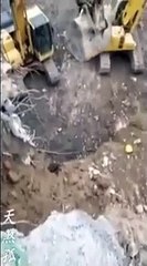 Así cae este hombre del balde de una excavadora