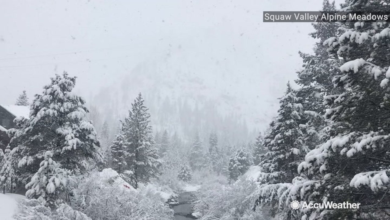 New snow falls at Squaw Valley Alpine Meadows