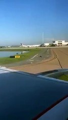 Este caimán sin prisas obliga a un avión a detenerse en la pista