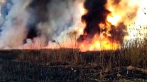 Eber Gölü'ndeki sazlıkta çıkan yangında 35 dönüm alan zarar gördü - AFYONKARAHİSAR