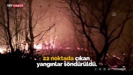 Trabzon'da 10 ilçede orman yangını