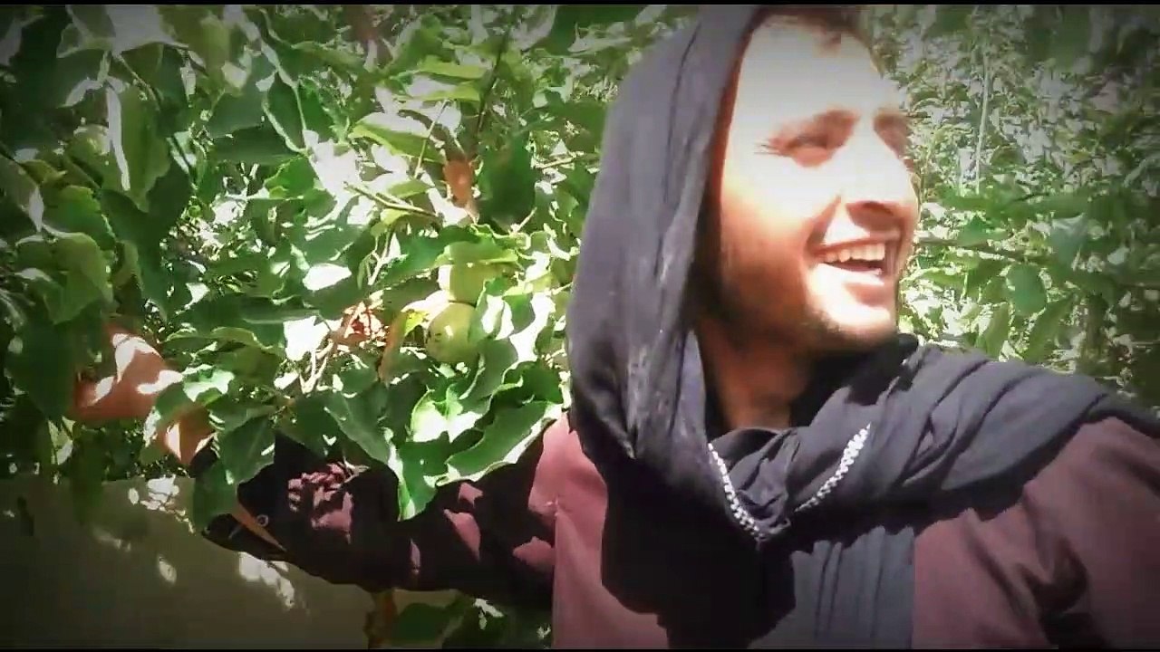 Dhoka With Samandar Khan (vines)