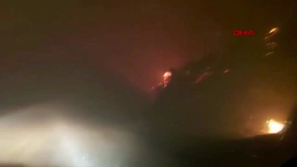 Karadeniz'de 26 noktada orman yangını: 5 ev kül oldu, tarım arazileri zarar gördü