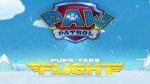 PAW Patrol Pups Take Flight Winter Wonderland TV Commercial