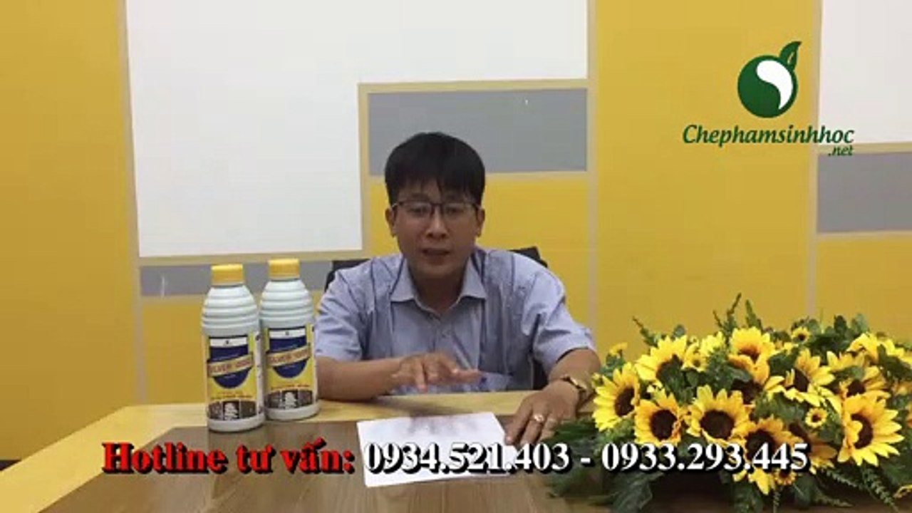 Cách Phòng Ngừa Bệnh Dịch Tả Lợn Châu Phi Và Lở Mồm Long Móng ở heo (lợn), trâu, bò.