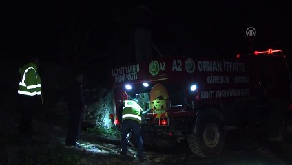Fındık arazisi ve ormanda çıkan yangınlar kontrol altına alındı - ORDU