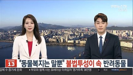 "동물복지는 말뿐" 불법투성이 속 반려동물