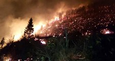Trabzon'da 26 noktada orman yangını çıktı! Valilik kriz masası kurdu