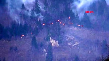 Karadeniz'de 26 noktada orman yangını 5 ev kül oldu, tarım arazileri zarar gördü