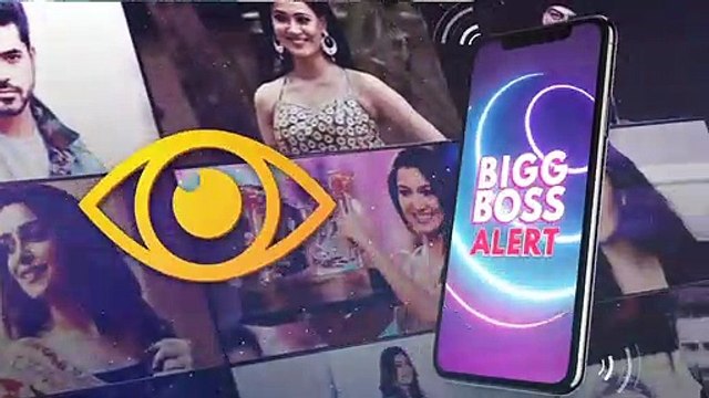 Bigg Boss 13: Vindu Dara Singh, Gauahar Khan, Kishwer Merchant Stand Divided Over Sidharth Shukla; Twitter War Rages