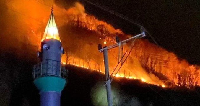 Karadeniz alev alev yanıyor! 4 ilde 26 farklı noktada orman yangını