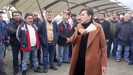 Karantinaya alınan atlar için çağrı: "iki-üç gün ayakta bırakıldıkları takdirde bütün yaşam fonksiyonlarını kaybedeceklerdir"