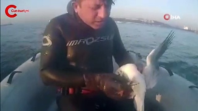 İstanbul Boğazı'nda insanlık ölmemiş dedirten görüntüler