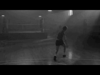 le lac des cygnes de Tachaïkovski