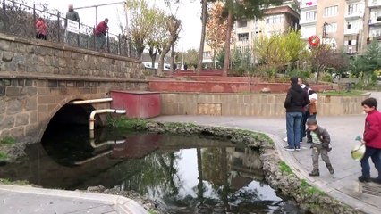 Diyarbakır’ın tarihi Anzele suyu ’Balıklıgöl’e döndü