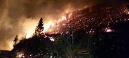 Son dakika: Orman Genel Müdürlüğü: Karadeniz'de çıkan 58 farklı noktadaki yangınların 45'i kontrol altına alındı