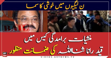 LHC grants Rana Sanaullah bail in drug case