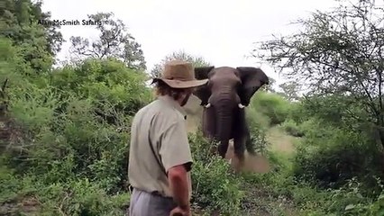 Il stoppe un éléphant d'une façon incroyable