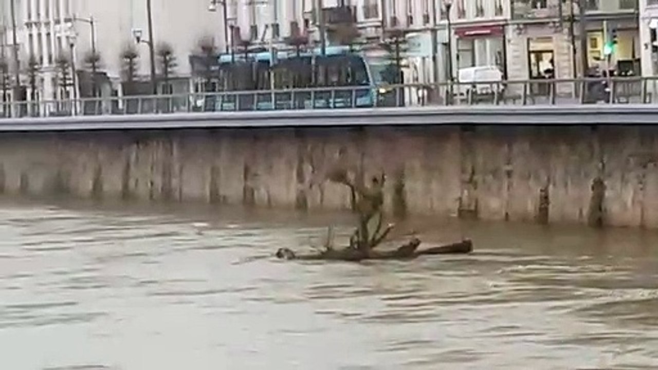 Besançon : le Doubs en crue